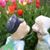 Dawn Devereaux's profile image