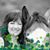 Angie Holden Wolf's profile image