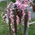 Felipa Santiago's profile image