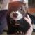 Tara Marisa's profile image