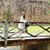 Valerie Scanlon Foley's profile image