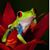 Rose Williams's profile image