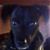 Brenda Boggs Wise's profile image