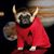 Jose Morales's profile image