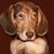 Janine Weiss's profile image