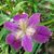 Ofilia Juarez's profile image