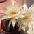 Sharon Gottlieb's profile image