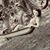 Laura Costa's profile image
