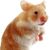 Angela Joy's profile image