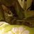 Denise Marie's profile image