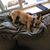 Corina Baber's profile image