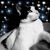 Jazzmyn Courchesne's profile image