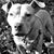 Sharon Mcdonald's profile image