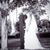 Michelle Mitchell Breau's profile image