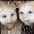 Mary Troka's profile image