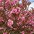 Prem Rajendran's profile image