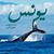 ابو مازن's profile image
