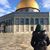 Sarah Dessi's profile image