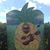 Larry Cales's profile image