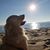 Michael Gerstweiler's profile image