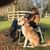 Sheri Haseltine Gore's profile image