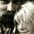 Brian Pettry's profile image