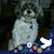 Christine Conway's profile image