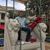 Andrew Lehrer's profile image