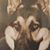 Adrienne Moore Dvm's profile image