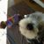 Carlos Sanchez's profile image
