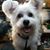 Nancy Smith's profile image