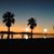 Leticia Buckert's profile image