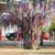 Denise Taggart-Rozas's profile image