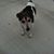 Kelly Gotch Whitley's profile image