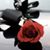Bella Gomez Kirby's profile image