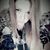 Kecia Diana Dotson's profile image