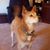 Sally Hanson Kinner's profile image