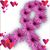 Gracie Seed's profile image