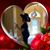 Kelly Preston's profile image