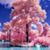 Anne Sedlock's profile image