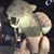 Amanda Smith Taylor's profile image
