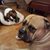 Joanne Hubley's profile image