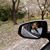 Allysa Jean Credo's profile image