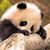 Patty McGranor's profile image
