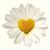 Dawn Marie's profile image
