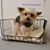 Brenda Wilson's profile image