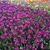 Cheryl Brenza's profile image