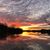 Donna Diann Sherrill's profile image