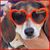 Liz Deveney's profile image