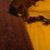Lucille Mcdonnell's profile image